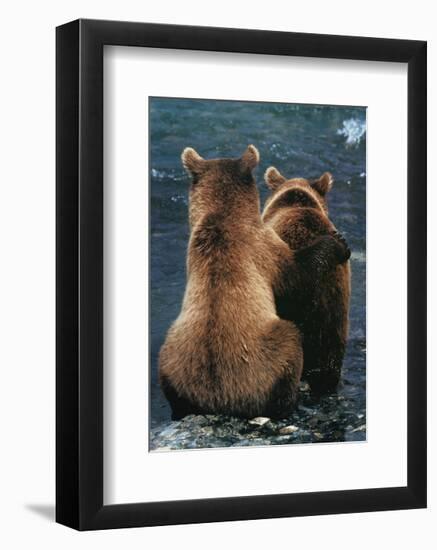 Two Bear Cubs-Art Wolfe-Framed Art Print