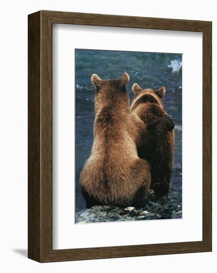 Two Bear Cubs-Art Wolfe-Framed Art Print