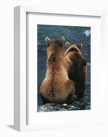 Two Bear Cubs-Art Wolfe-Framed Art Print