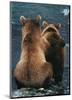 Two Bear Cubs-Art Wolfe-Mounted Art Print