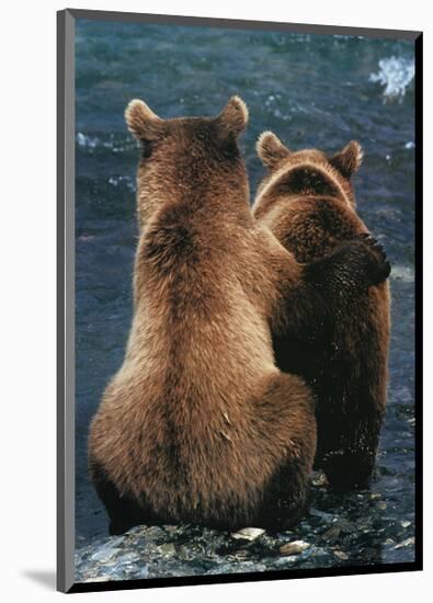 Two Bear Cubs-Art Wolfe-Mounted Art Print