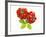 Two Beefsteak Tomatoes with Basil Leaves-Janez Puksic-Framed Photographic Print