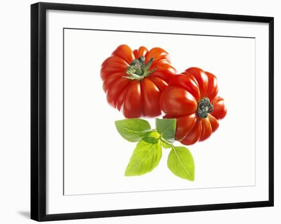 Two Beefsteak Tomatoes with Basil Leaves-Janez Puksic-Framed Photographic Print