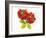 Two Beefsteak Tomatoes with Basil Leaves-Janez Puksic-Framed Photographic Print