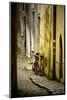 Two Bicycles on Cobblestone Street, Historic Passau, Germany-Sheila Haddad-Mounted Photographic Print