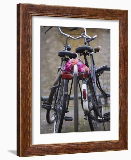 Two Bicycles with a Flower Chain, Amsterdam, Netherlands, Europe-Amanda Hall-Framed Photographic Print