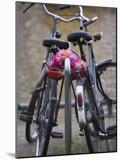 Two Bicycles with a Flower Chain, Amsterdam, Netherlands, Europe-Amanda Hall-Mounted Photographic Print
