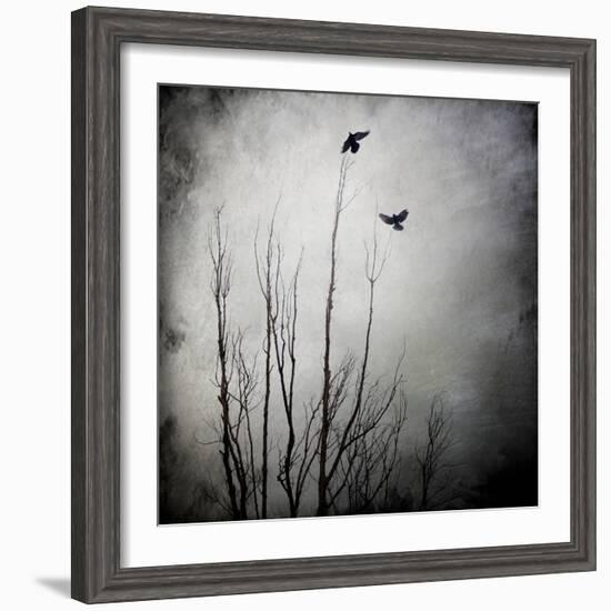 Two Bird Flying Near a Tree-Luis Beltran-Framed Photographic Print