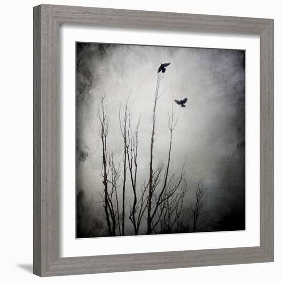 Two Bird Flying Near a Tree-Luis Beltran-Framed Photographic Print