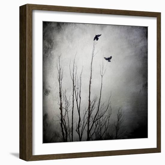 Two Bird Flying Near a Tree-Luis Beltran-Framed Photographic Print