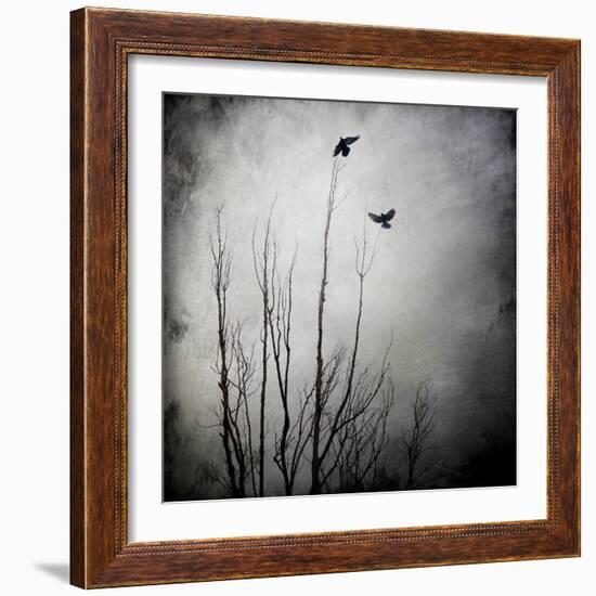 Two Bird Flying Near a Tree-Luis Beltran-Framed Photographic Print