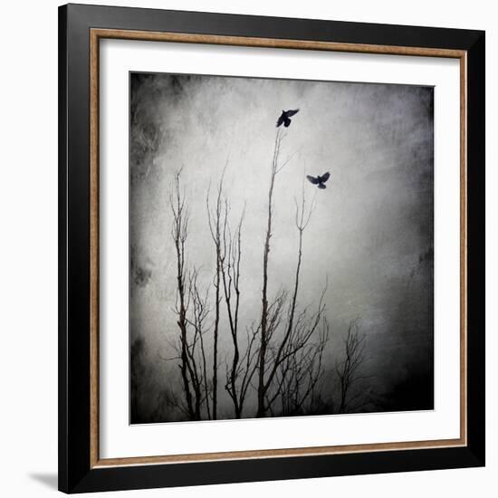 Two Bird Flying Near a Tree-Luis Beltran-Framed Photographic Print