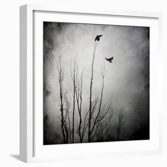 Two Bird Flying Near a Tree-Luis Beltran-Framed Photographic Print