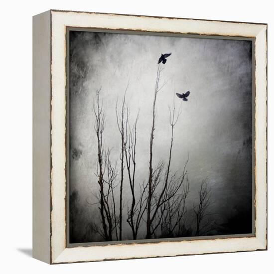 Two Bird Flying Near a Tree-Luis Beltran-Framed Premier Image Canvas