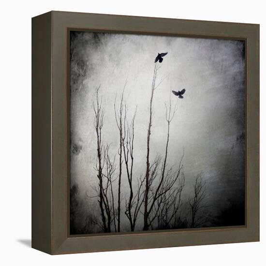 Two Bird Flying Near a Tree-Luis Beltran-Framed Premier Image Canvas