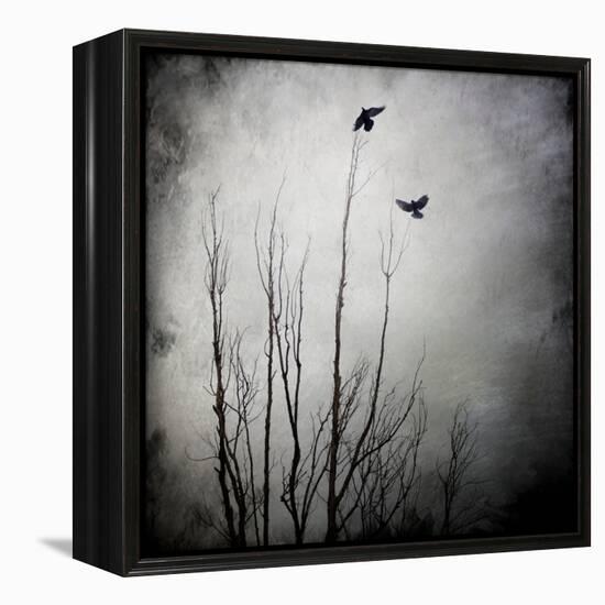 Two Bird Flying Near a Tree-Luis Beltran-Framed Premier Image Canvas