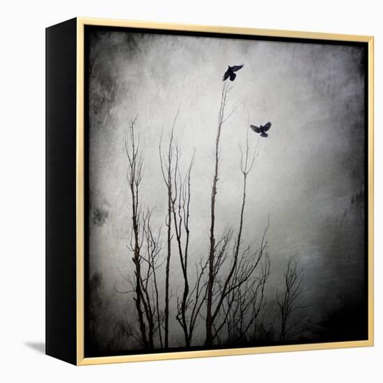 Two Bird Flying Near a Tree-Luis Beltran-Framed Premier Image Canvas