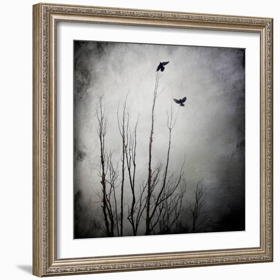 Two Bird Flying Near a Tree-Trigger Image-Framed Photographic Print