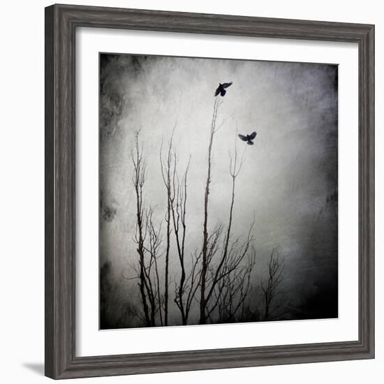 Two Bird Flying Near a Tree-Trigger Image-Framed Photographic Print