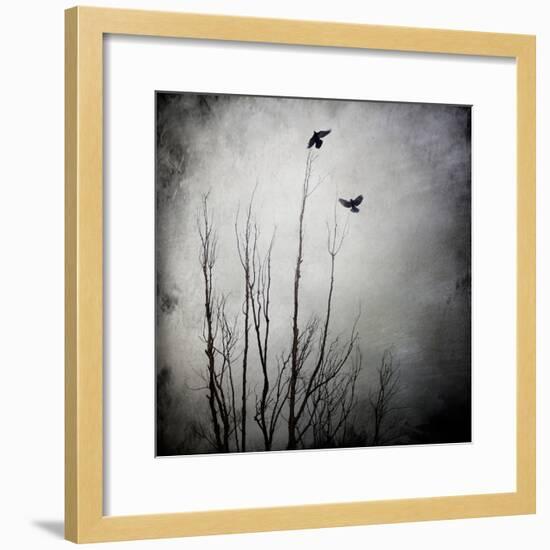 Two Bird Flying Near a Tree-Trigger Image-Framed Photographic Print