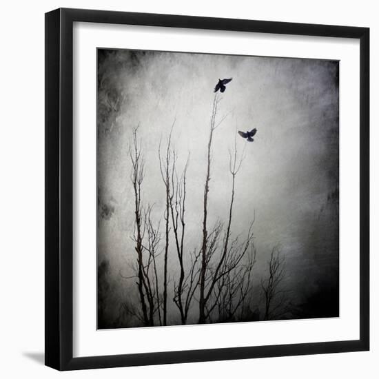 Two Bird Flying Near a Tree-Trigger Image-Framed Photographic Print