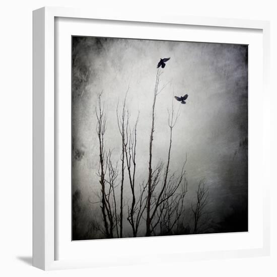 Two Bird Flying Near a Tree-Trigger Image-Framed Photographic Print