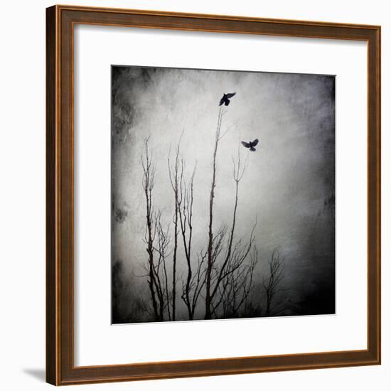 Two Bird Flying Near a Tree-Trigger Image-Framed Photographic Print