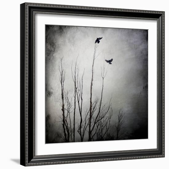 Two Bird Flying Near a Tree-Trigger Image-Framed Photographic Print