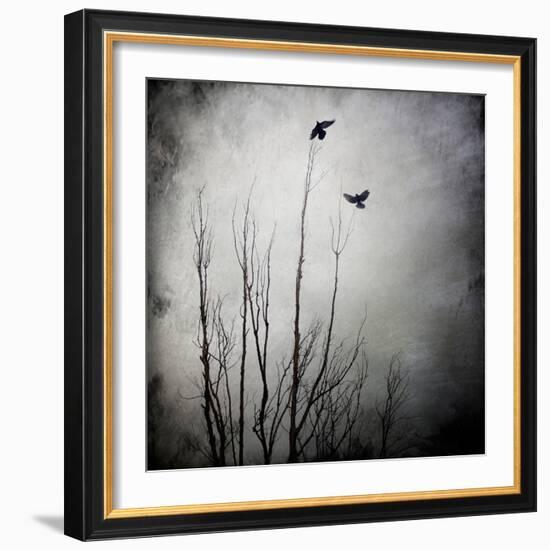 Two Bird Flying Near a Tree-Trigger Image-Framed Photographic Print