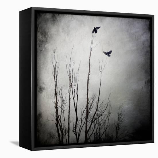 Two Bird Flying Near a Tree-Trigger Image-Framed Premier Image Canvas