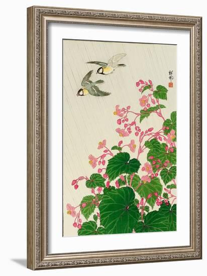 Two Birds and Begonia in Rain-Koson Ohara-Framed Giclee Print