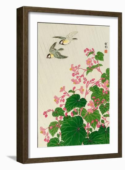 Two Birds and Begonia in Rain-Koson Ohara-Framed Giclee Print