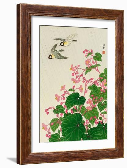 Two Birds and Begonia in Rain-Koson Ohara-Framed Giclee Print