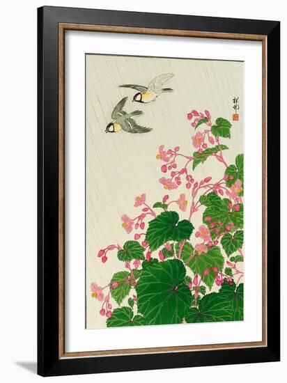 Two Birds and Begonia in Rain-Koson Ohara-Framed Giclee Print