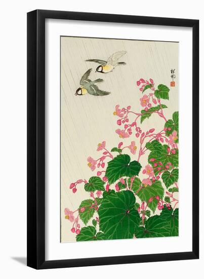 Two Birds and Begonia in Rain-Koson Ohara-Framed Giclee Print