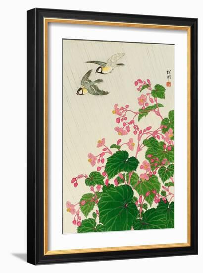 Two Birds and Begonia in Rain-Koson Ohara-Framed Giclee Print