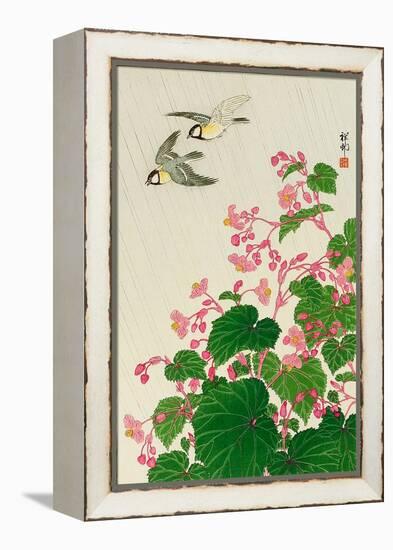 Two Birds and Begonia in Rain-Koson Ohara-Framed Premier Image Canvas