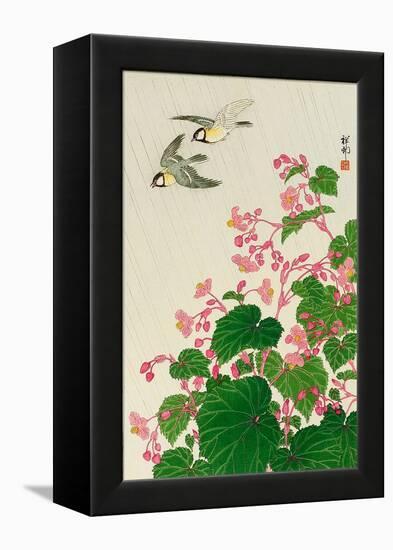 Two Birds and Begonia in Rain-Koson Ohara-Framed Premier Image Canvas