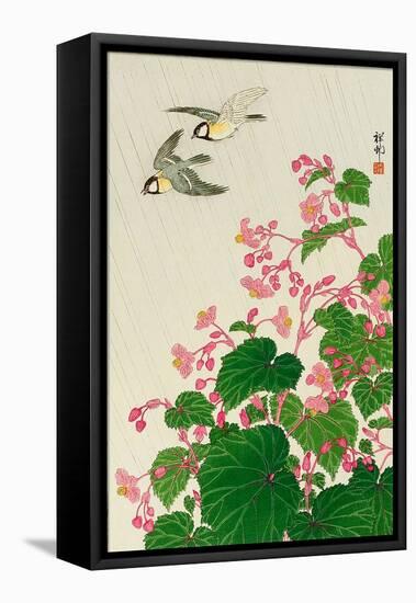 Two Birds and Begonia in Rain-Koson Ohara-Framed Premier Image Canvas