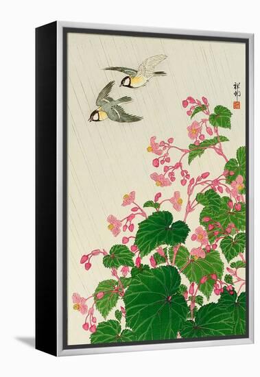 Two Birds and Begonia in Rain-Koson Ohara-Framed Premier Image Canvas