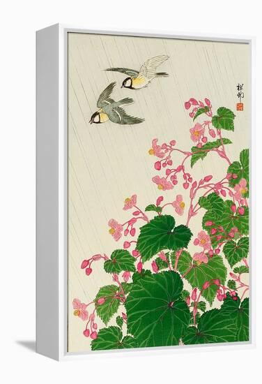 Two Birds and Begonia in Rain-Koson Ohara-Framed Premier Image Canvas