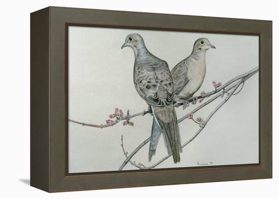 Two Birds on Branch-Rusty Frentner-Framed Premier Image Canvas