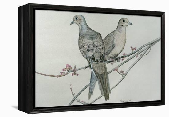 Two Birds on Branch-Rusty Frentner-Framed Premier Image Canvas