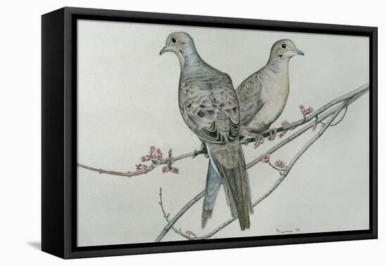 Two Birds on Branch-Rusty Frentner-Framed Premier Image Canvas