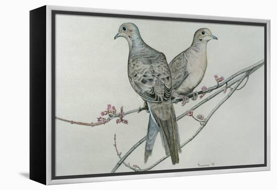 Two Birds on Branch-Rusty Frentner-Framed Premier Image Canvas