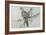 Two Birds on Branch-Rusty Frentner-Framed Giclee Print