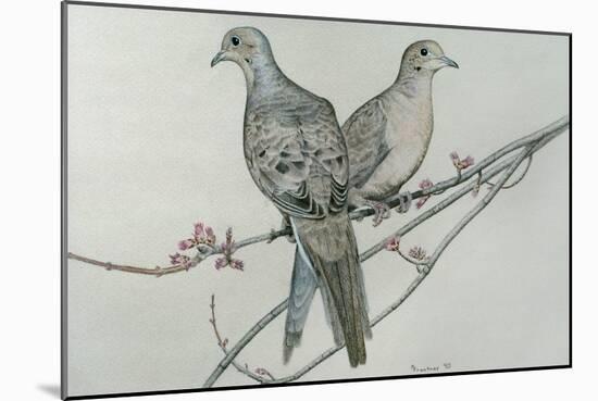 Two Birds on Branch-Rusty Frentner-Mounted Giclee Print