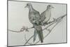Two Birds on Branch-Rusty Frentner-Mounted Giclee Print