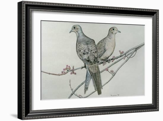 Two Birds on Branch-Rusty Frentner-Framed Giclee Print