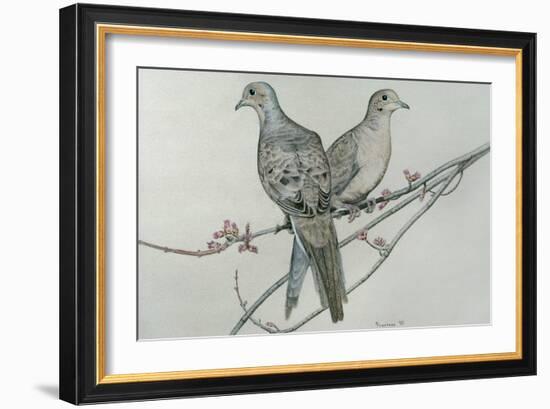 Two Birds on Branch-Rusty Frentner-Framed Giclee Print